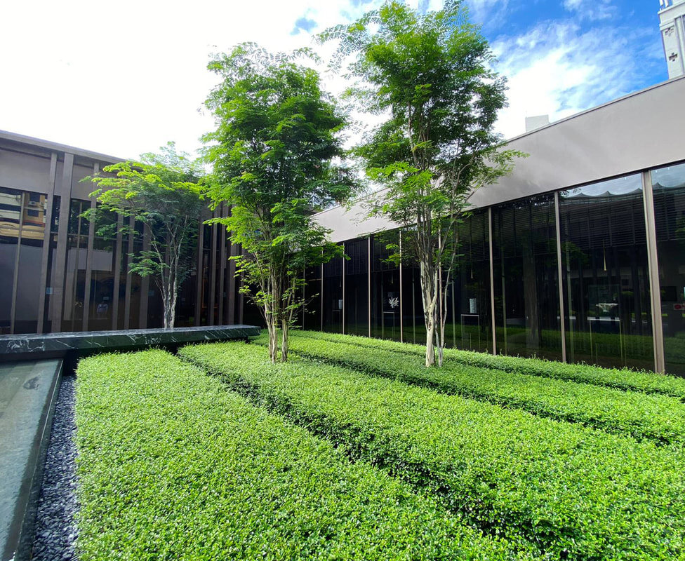 Landscaping Courtesy Tinderbox