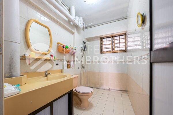 519 Woodlands Drive 14