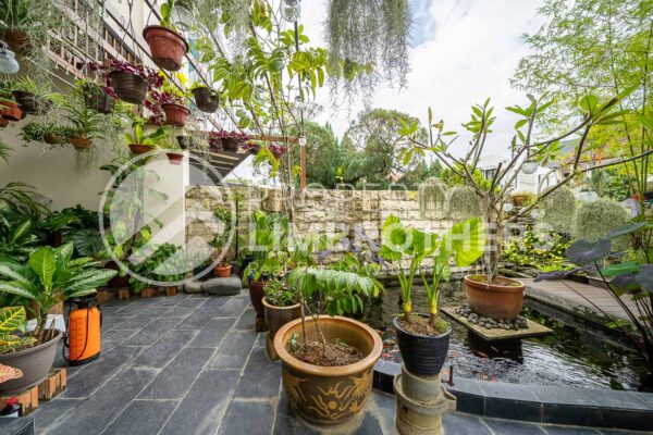 Happy Avenue Central