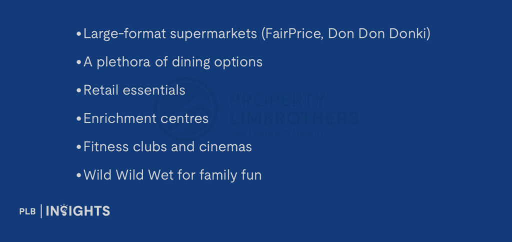 Large-format supermarkets (FairPrice, Don Don Donki)

A plethora of dining options

Retail essentials

Enrichment centres

Fitness clubs and cinemas

Wild Wild Wet for family fun